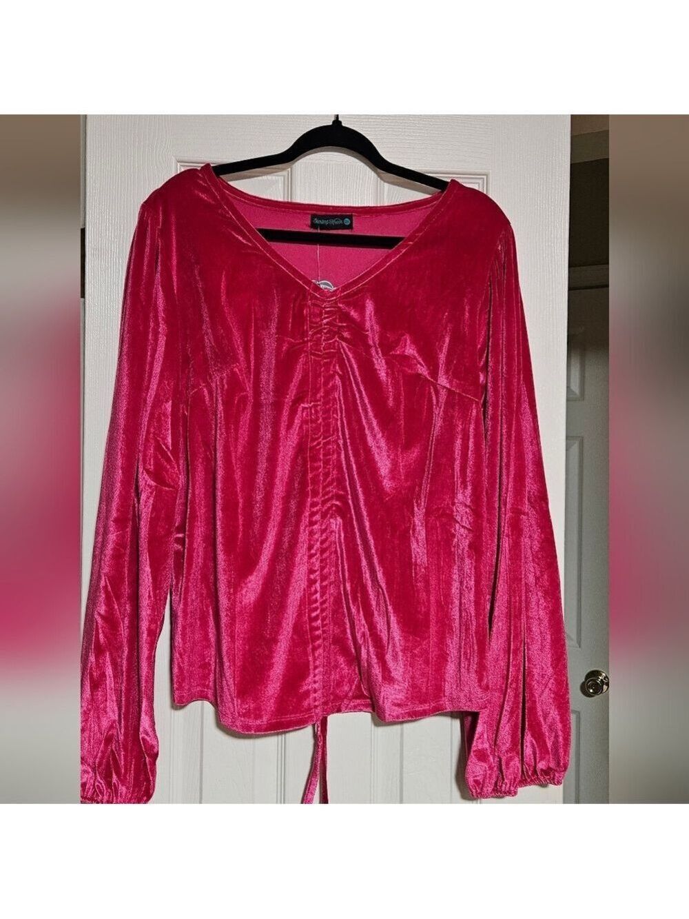 Plus Size Pink Velvet V-Neck Blouse NWT